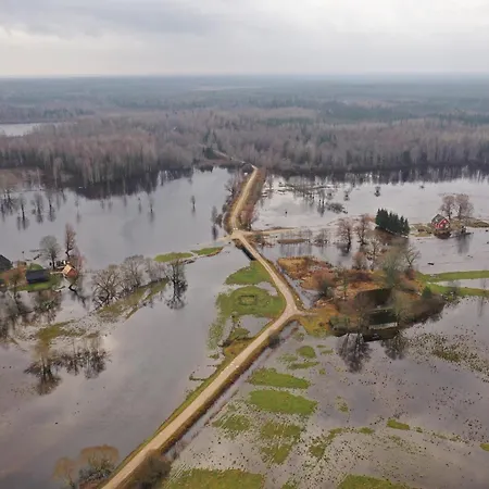 شقة Free Parking L Everything Nearby *